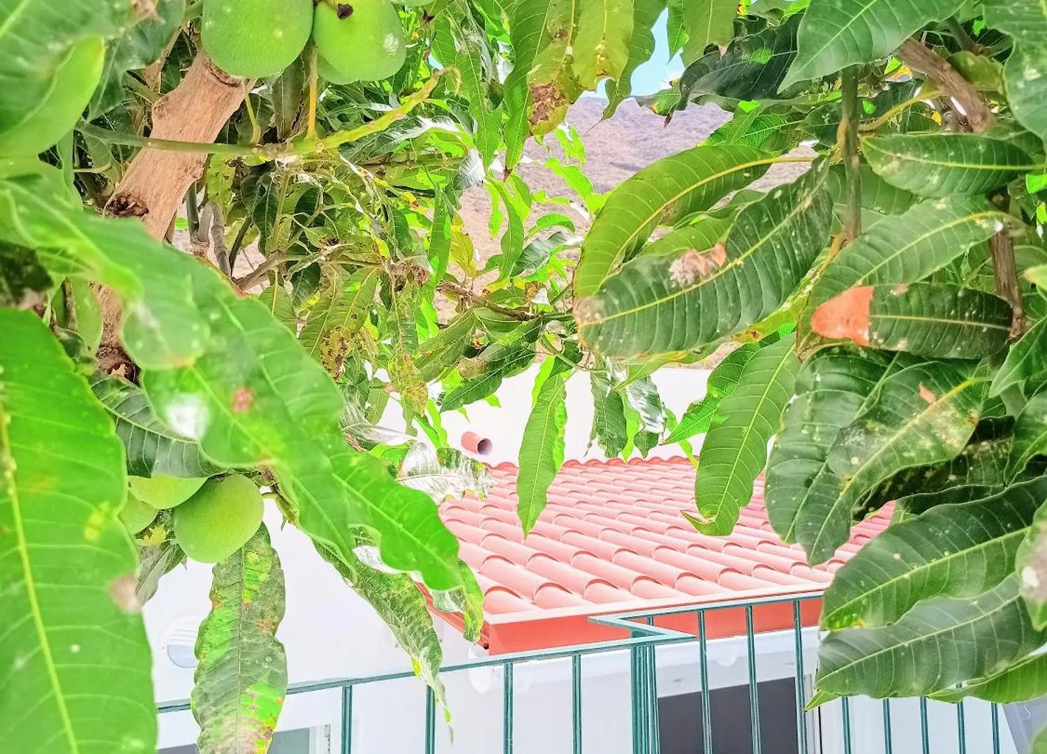 公寓 Apartamentos Paraiso De Anaga 圣克鲁斯-德特内里费 西班牙